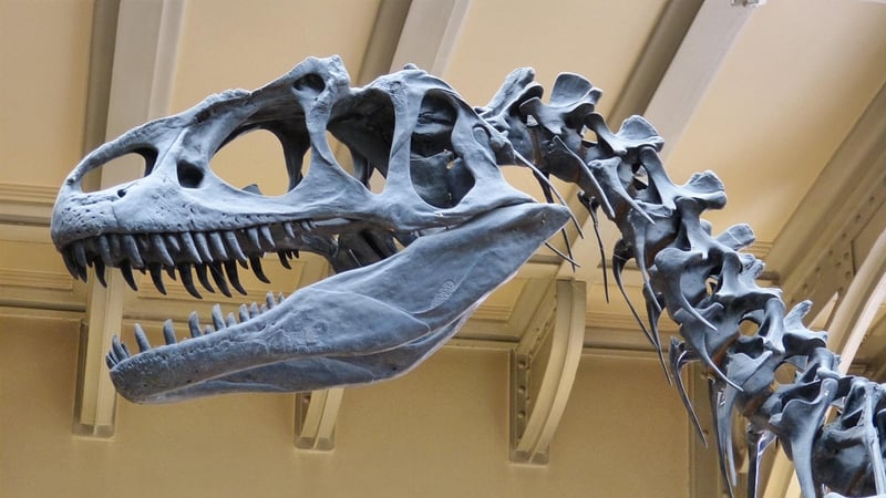 Dinosaur Era